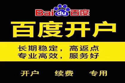 SEM竞价优化策略优化：案例解析提升广告转化率